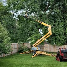 Best Hazardous Tree Removal  in West Newton, PA